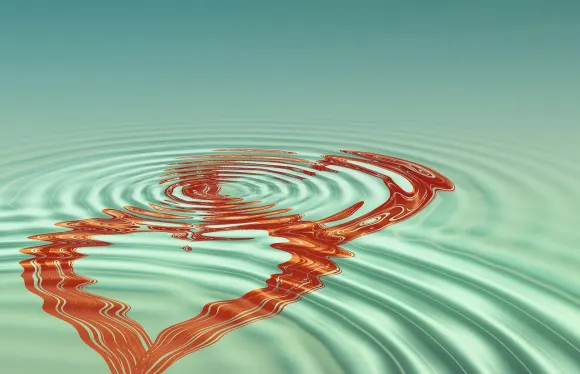 קאסיגו קזינו תמיכה